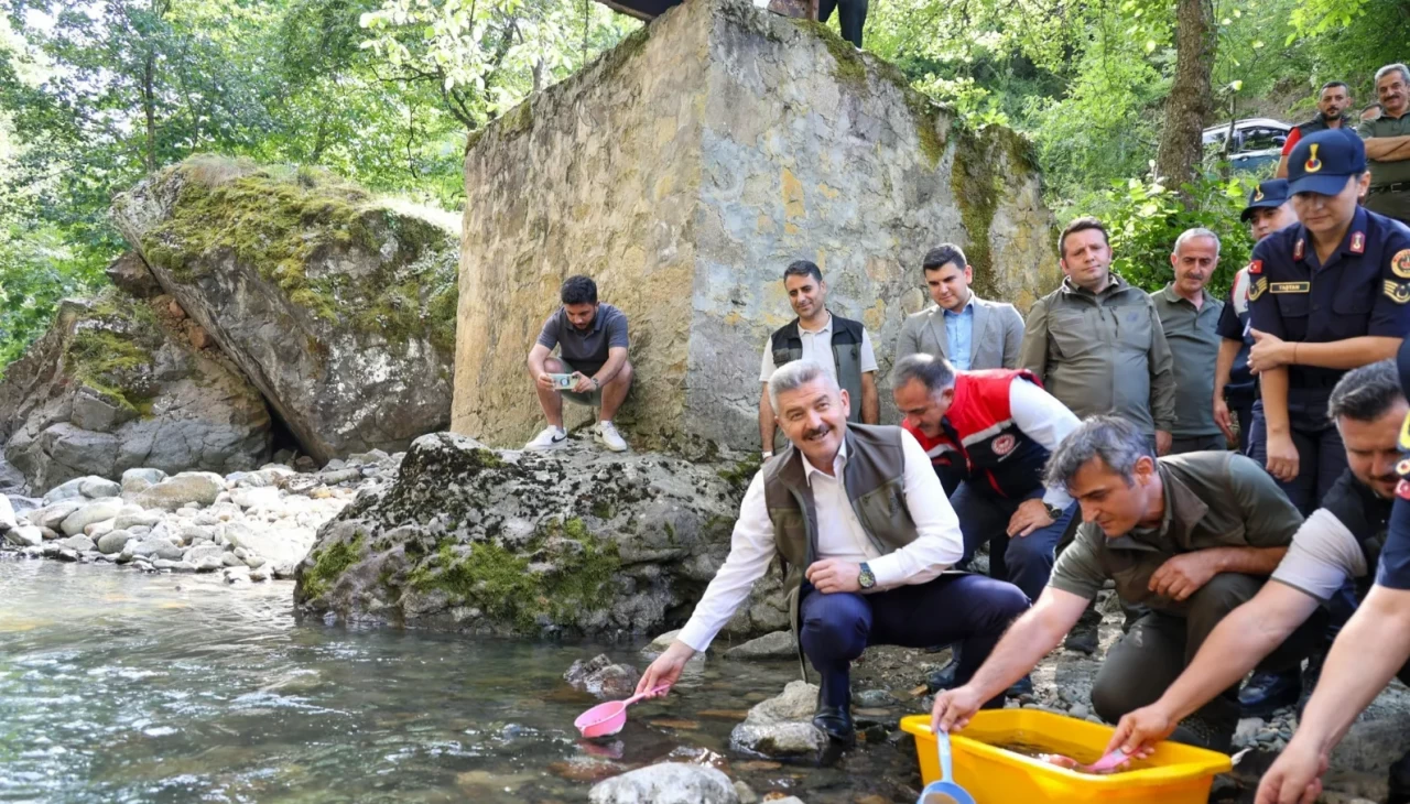 Artvin’de 5 bin kırmızı benekli alabalık doğaya salındı