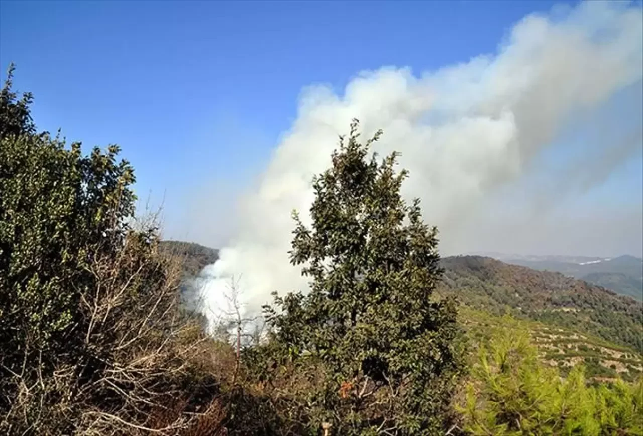 Suriye'nin Lazkiye kentinde orman yangını çıktı
