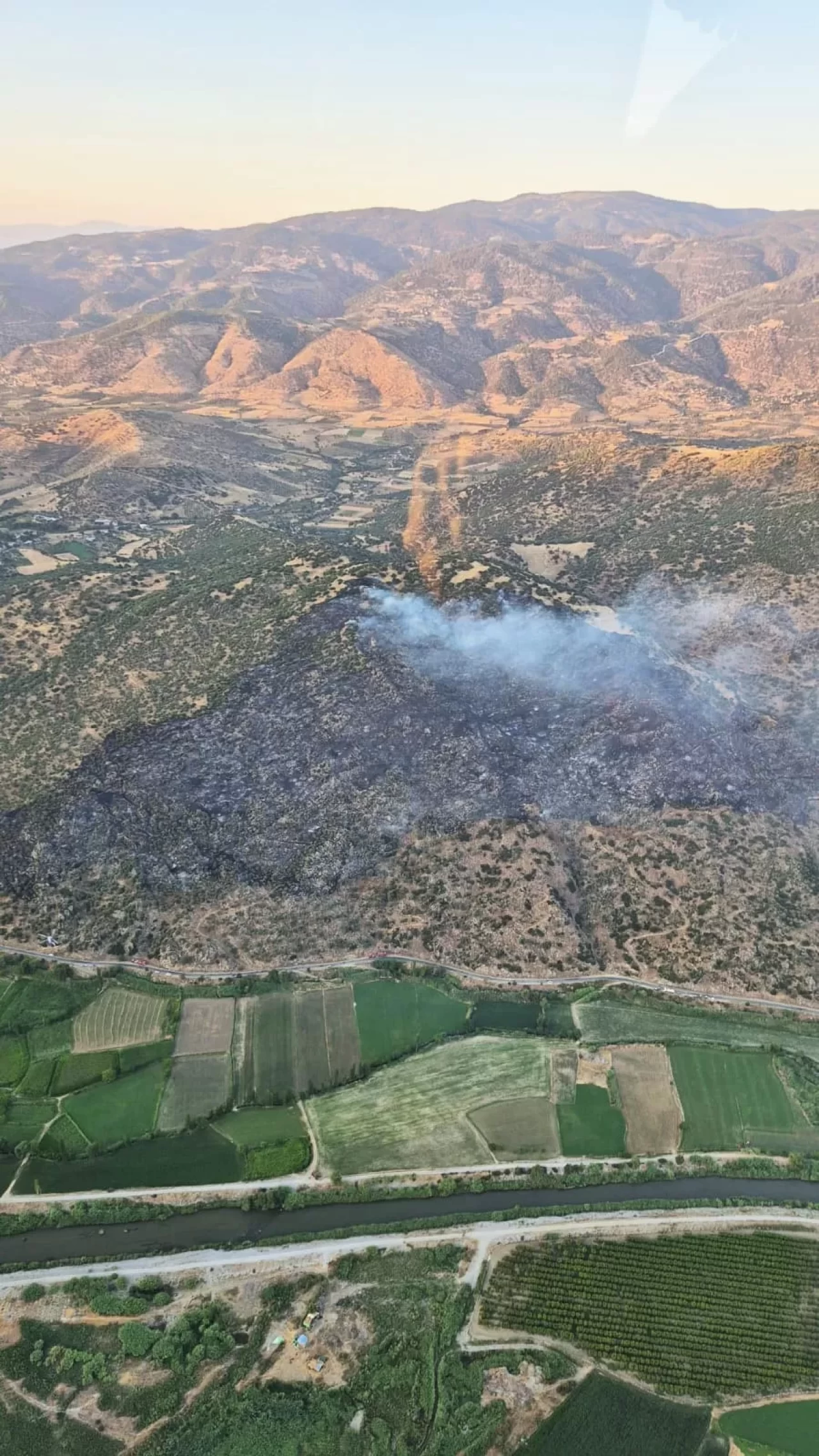 Aydın'da makilik alanda çıkan yangın söndürüldü