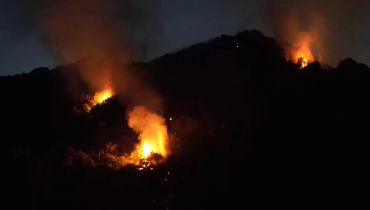 Karadeniz Ereğli’deki orman yangını 3,5 saat sonra kontrol altına alındı