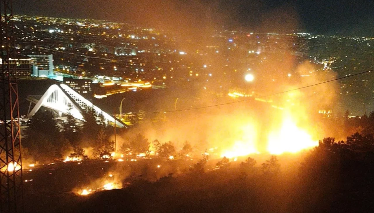 Konya'da atılan havai fişek ağaçlık alanı yaktı