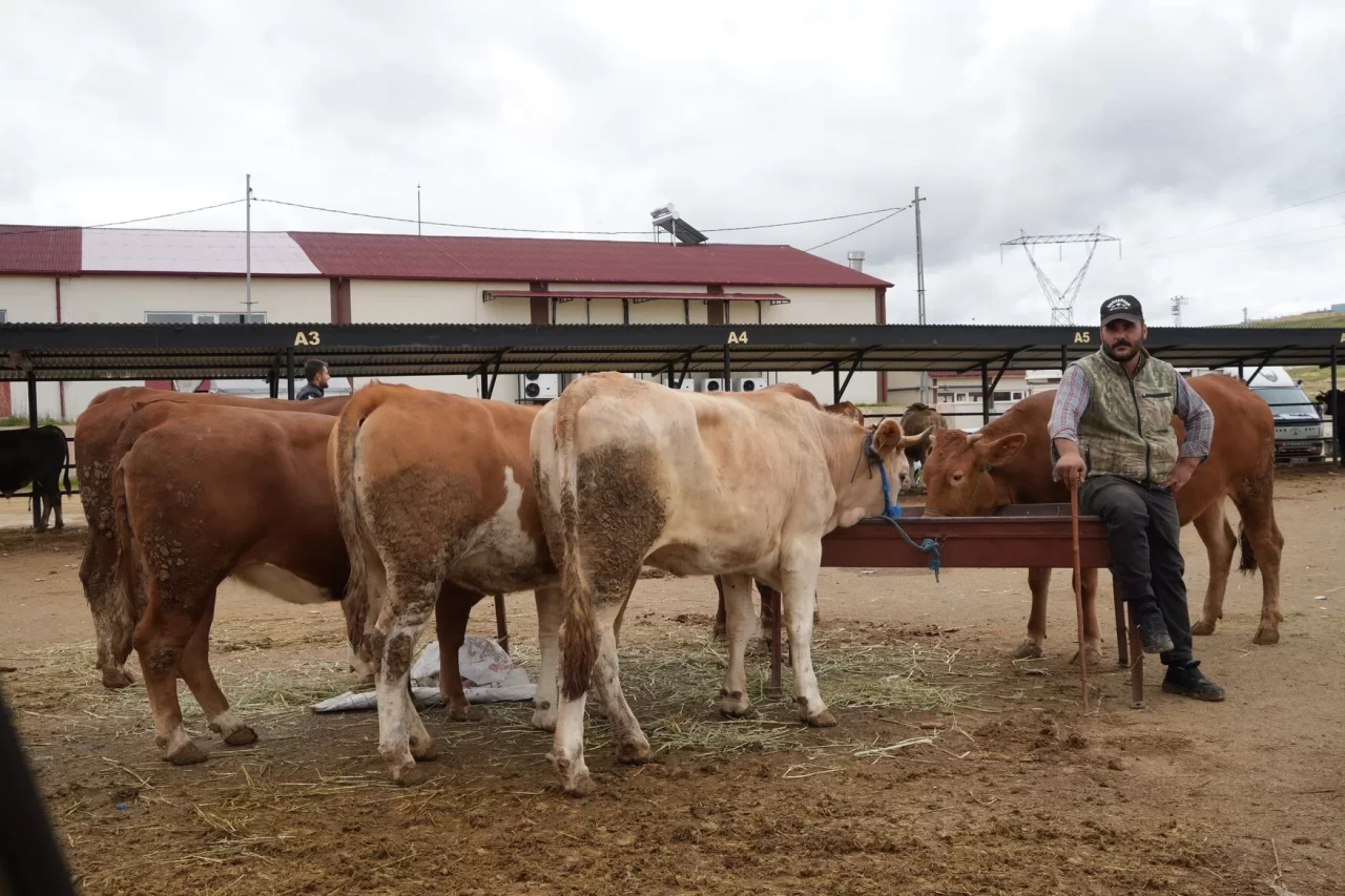 Tarım Bakanlığı'ndan kritik hamle: Tüm hayvan pazarları kapatıldı