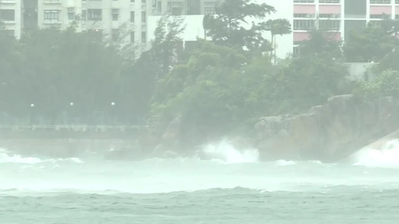 Vietnam, yaklaşan Wipha Tayfunu tehlikesiyle alarma geçti