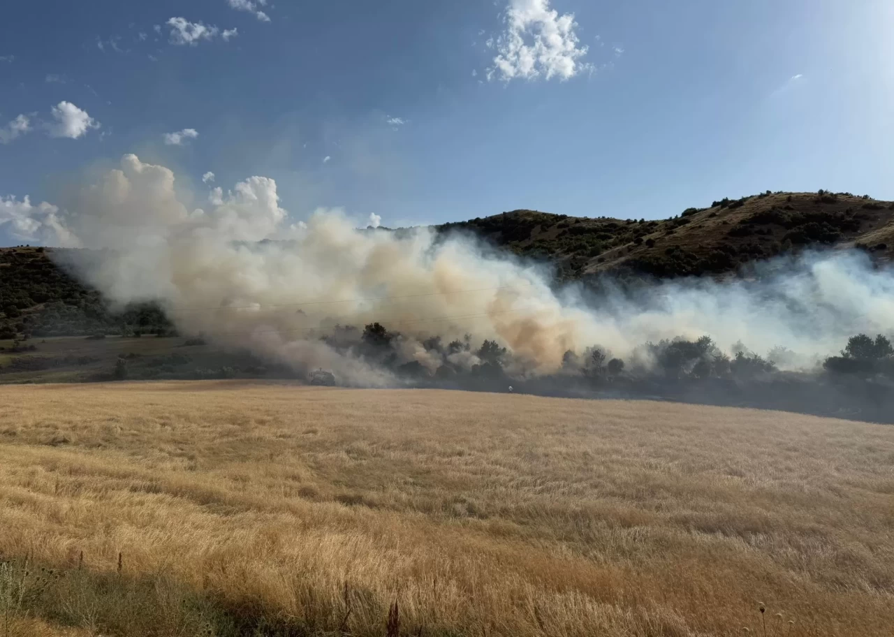 Bitlis'te örtü yangını söndürüldü