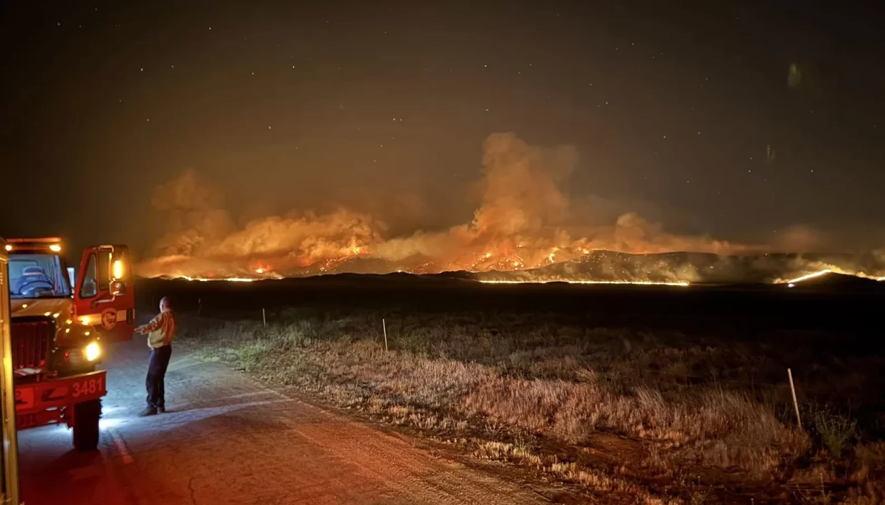 ABD'de orman yangını: 52 bin dönümden fazla alan kül oldu