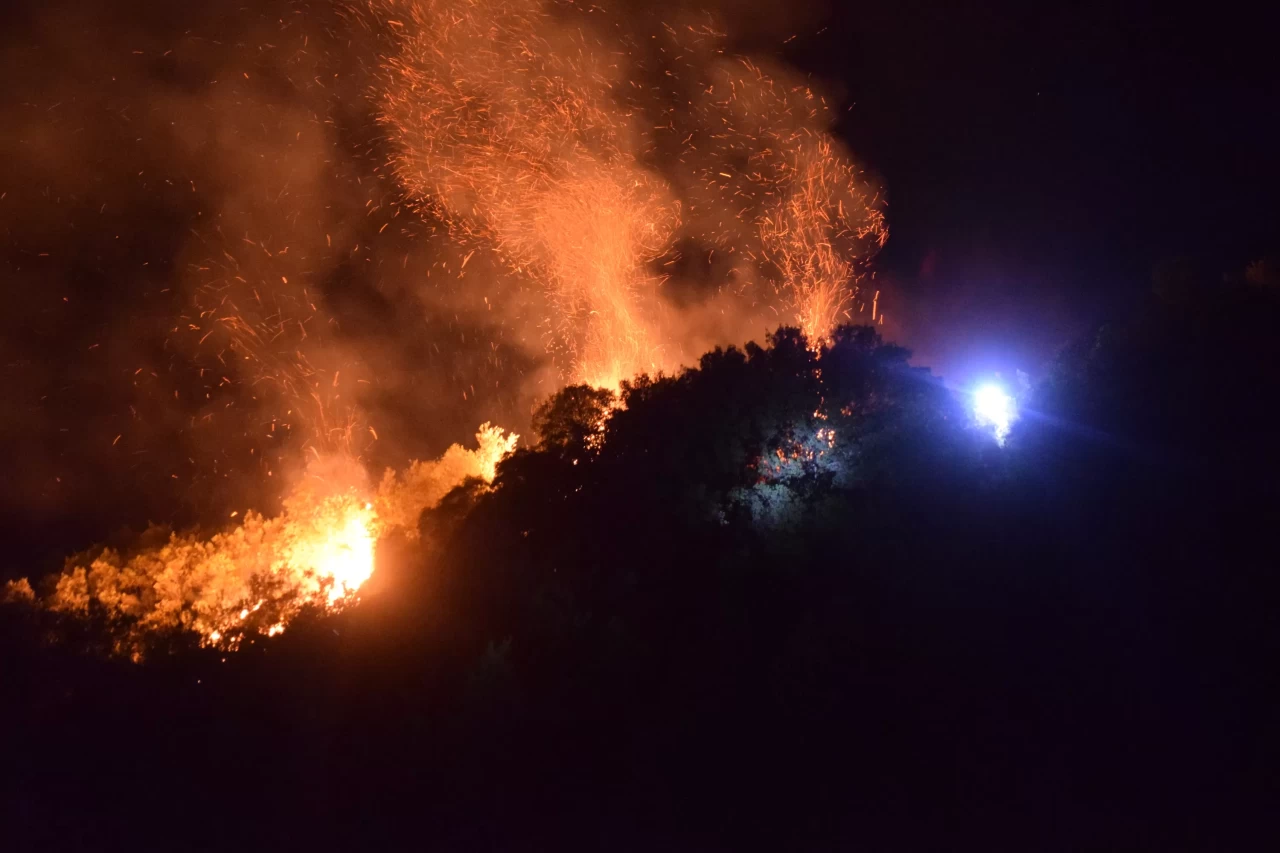 Manisa'da tarım arazisinden ormana sıçrayan yangın kontrol altına alındı