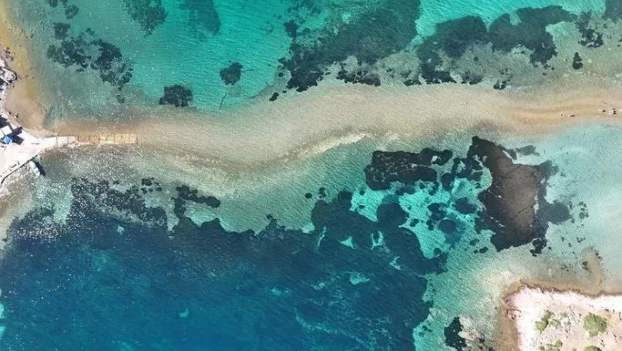 Cunda’dan Maden Adası’na yürüyerek geçtiler! Suyun içinden eşsiz doğa yürüyüşü