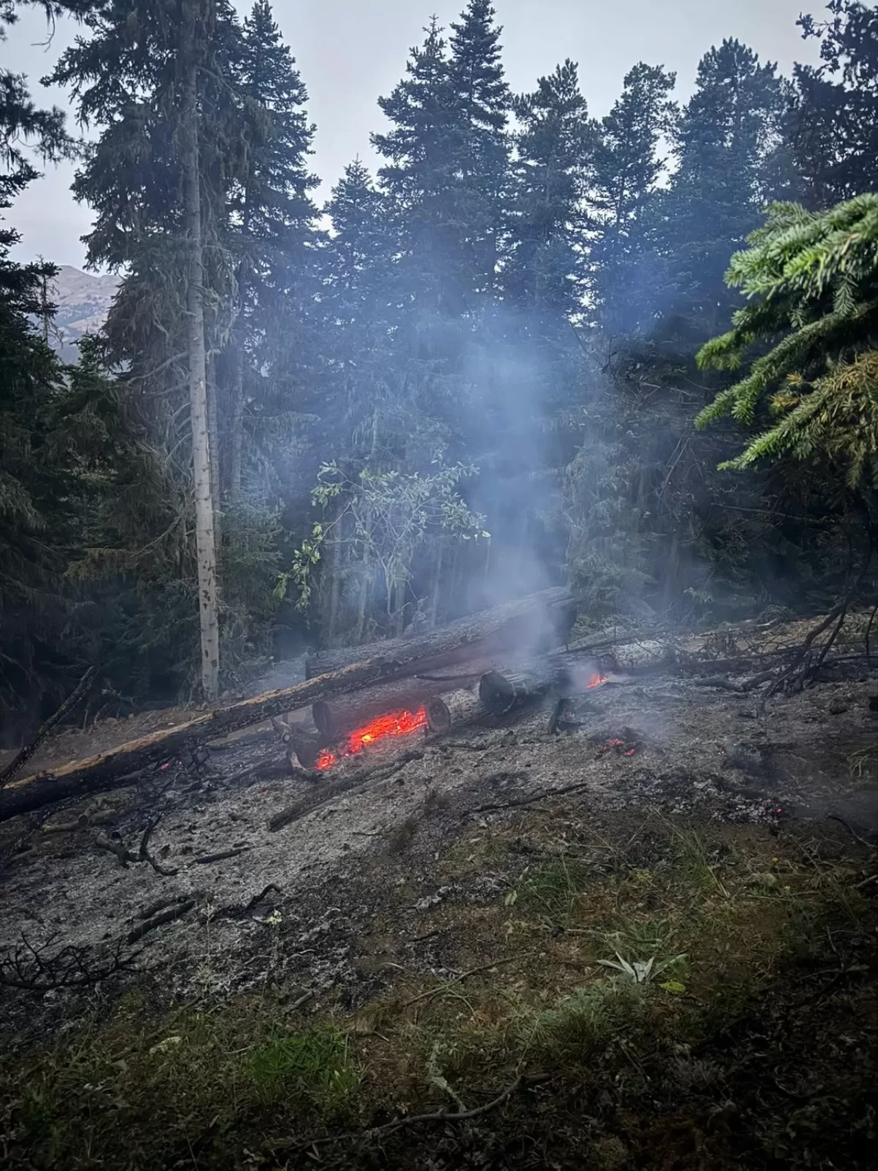 Gümüşhane’deki orman yangını söndürüldü