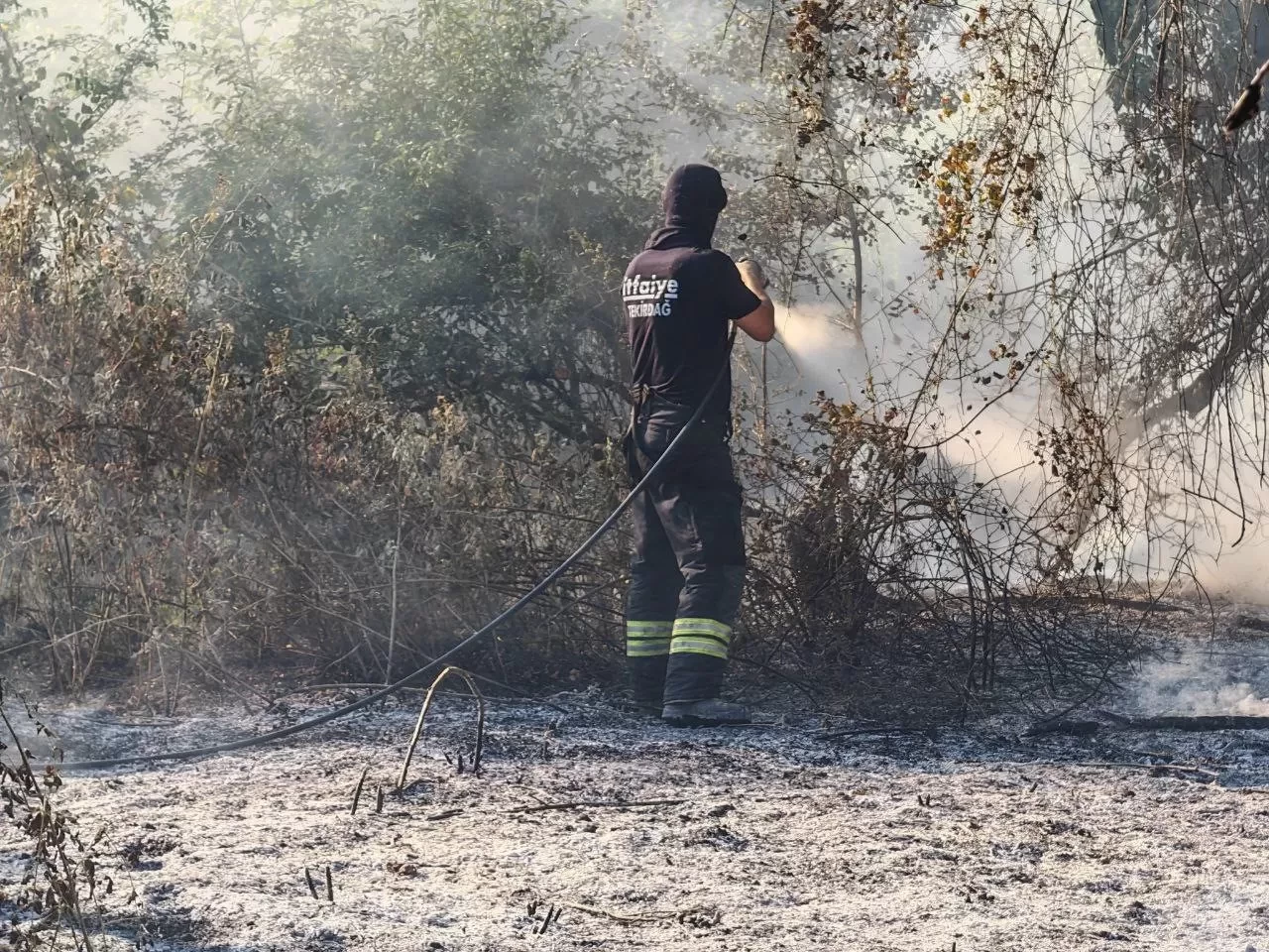 Malkara’da ormana sıçrayan anız yangını kontrol altına alındı