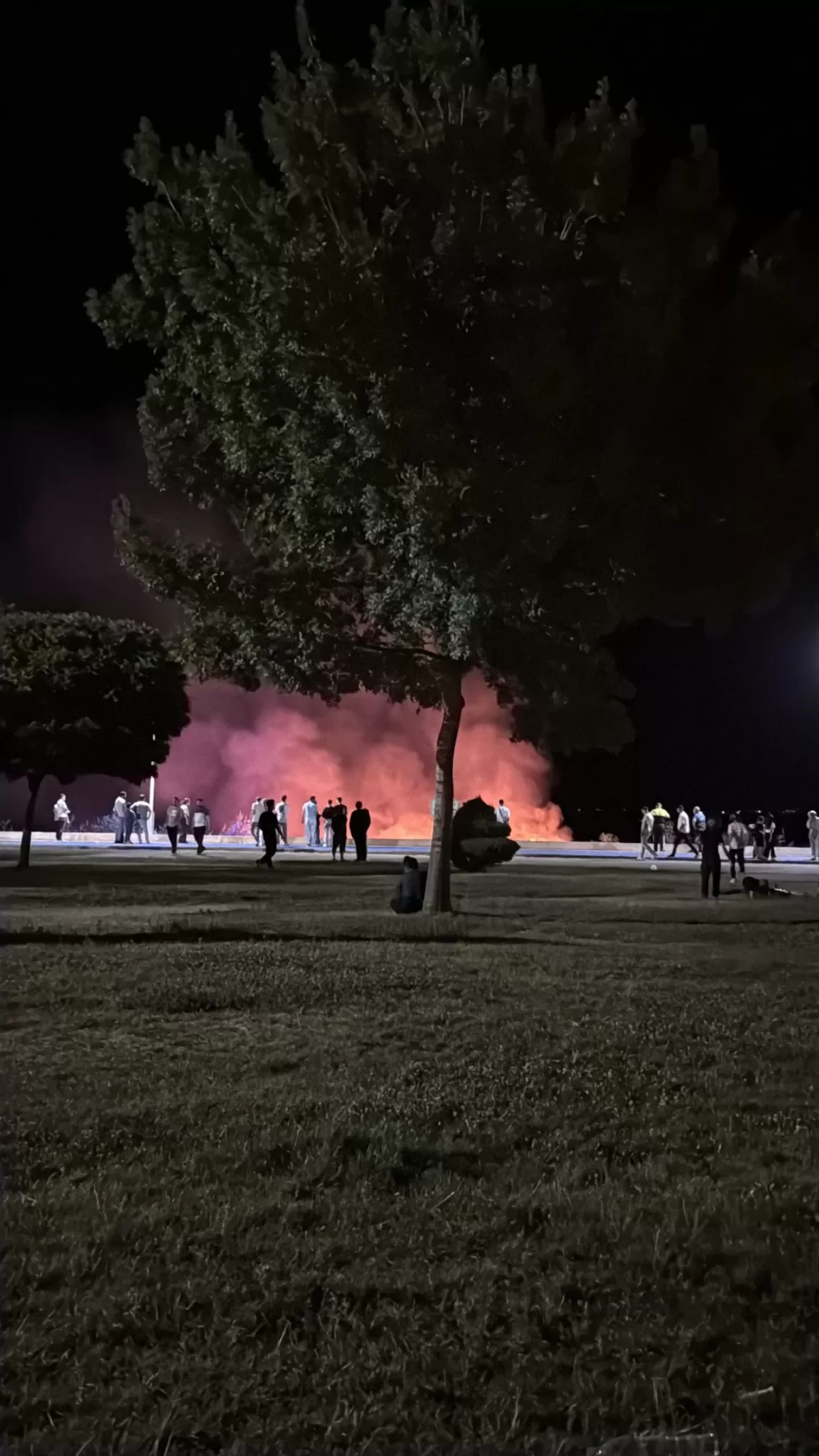 Beyşehir Gölü kenarında korkutan yangın