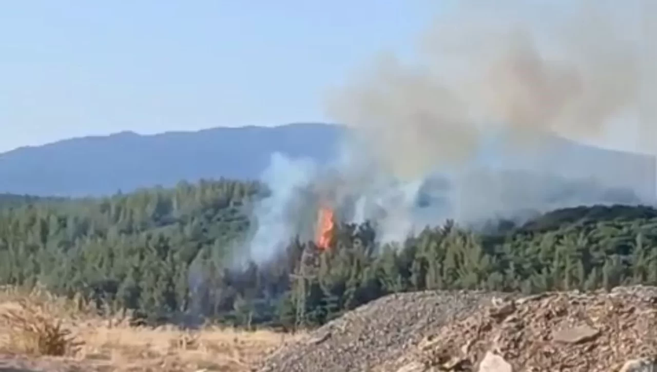 Denizli’de orman yangını! Müdahale sürüyor