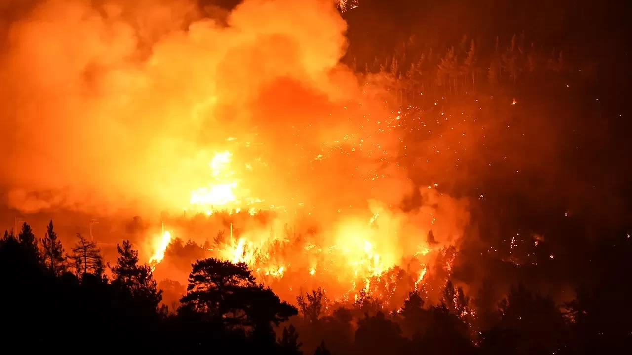 Orman yangınlarının tetikleyicisi: Atıklar