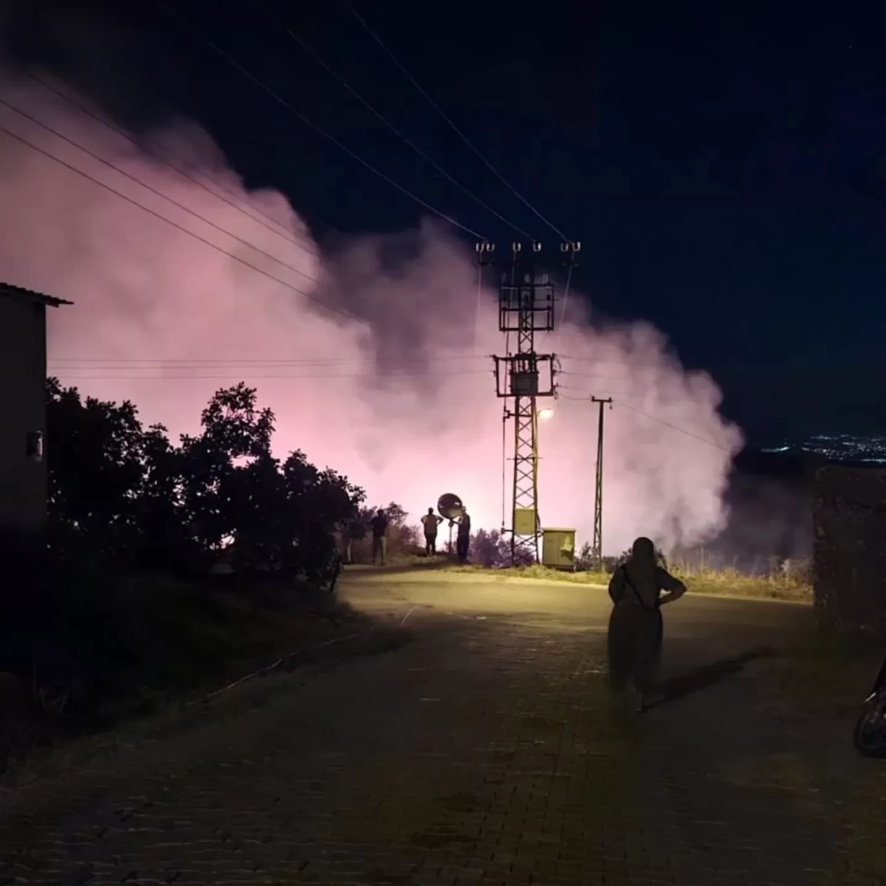 Zeytinlik alanda çıkan yangın büyümeden kontrol altına alındı