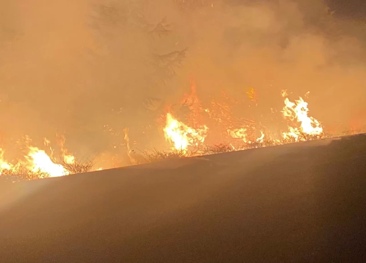 Bilecik Söğüt’te seyir halindeki traktör römorkunda yangın çıktı