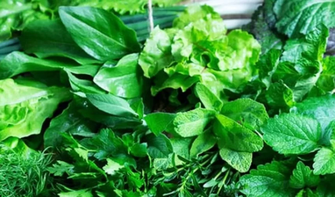 Buzlukta saklamaya uygun olmayan 5 sebze