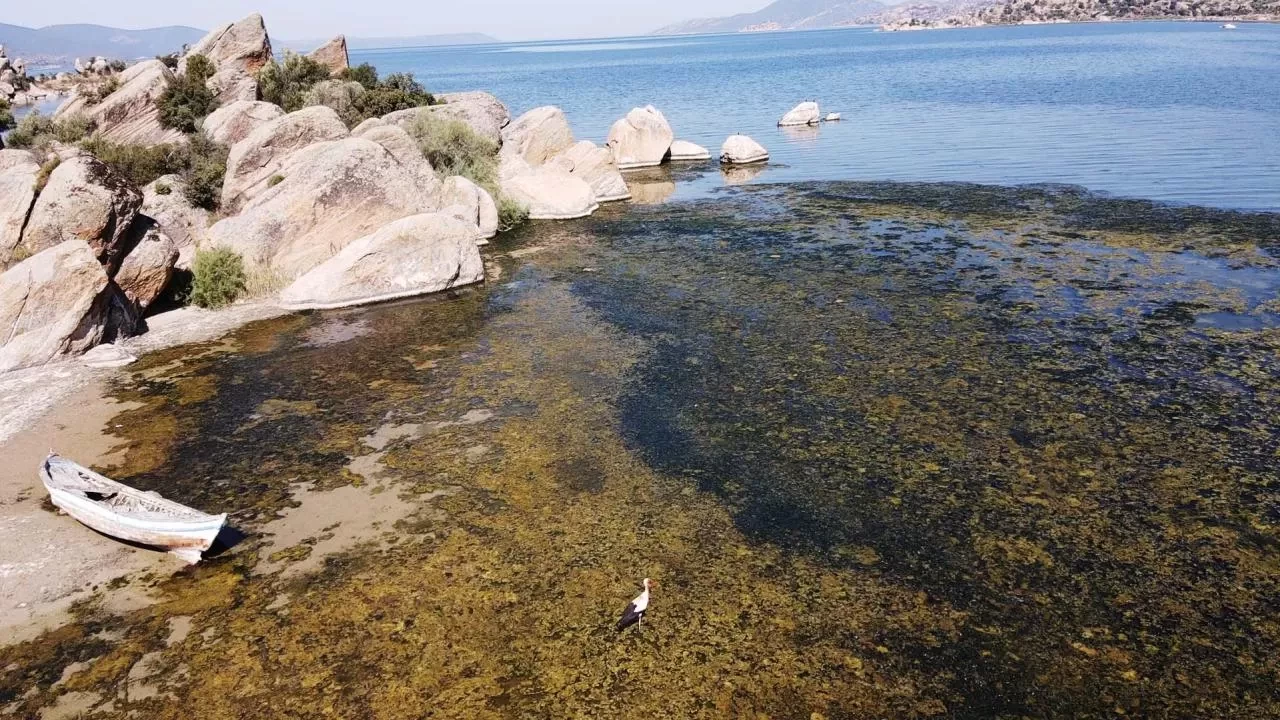 Suları çekilmeye başlayan Bafa Gölü'nde kirlilik yaşanıyor