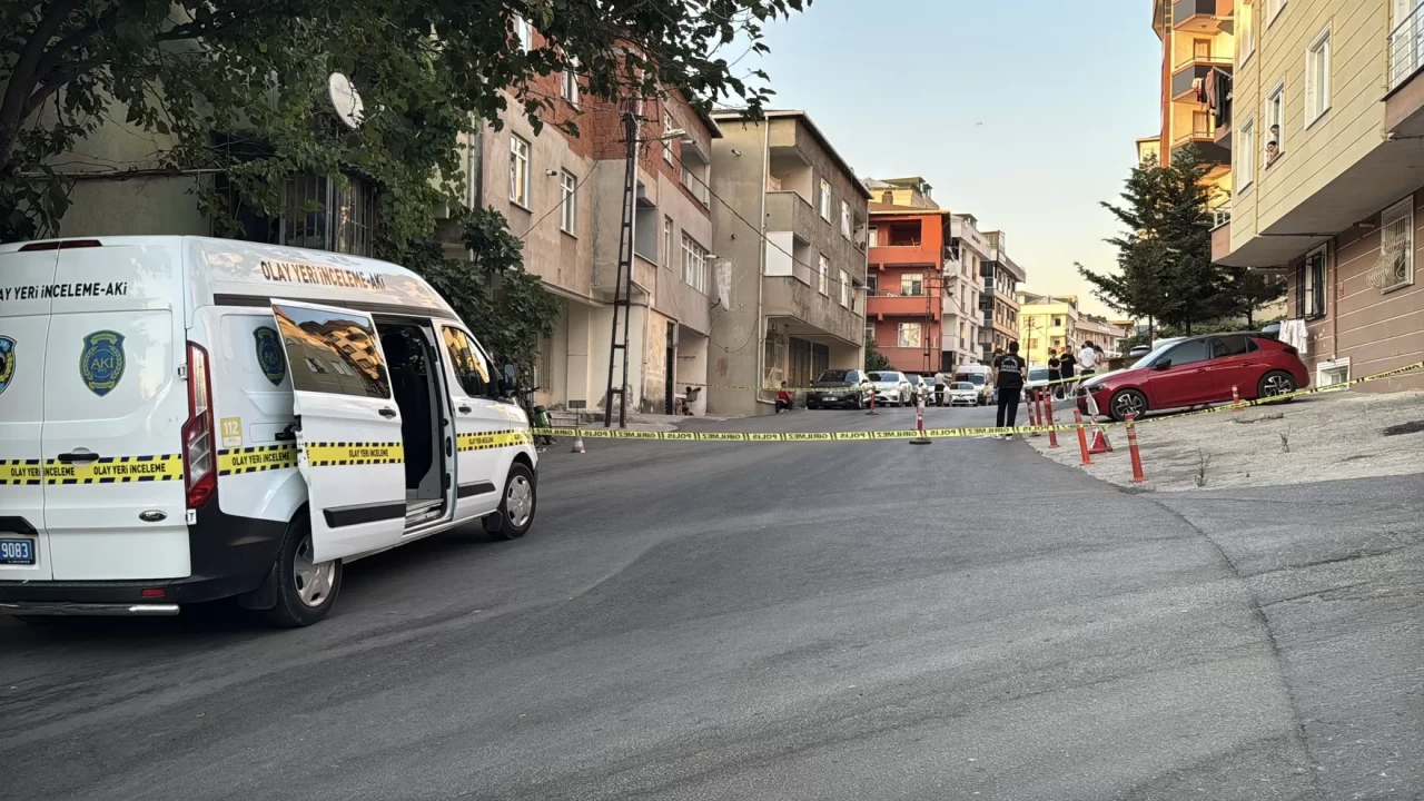 Maltepe'de kamyonetin çarptığı kadın öldü