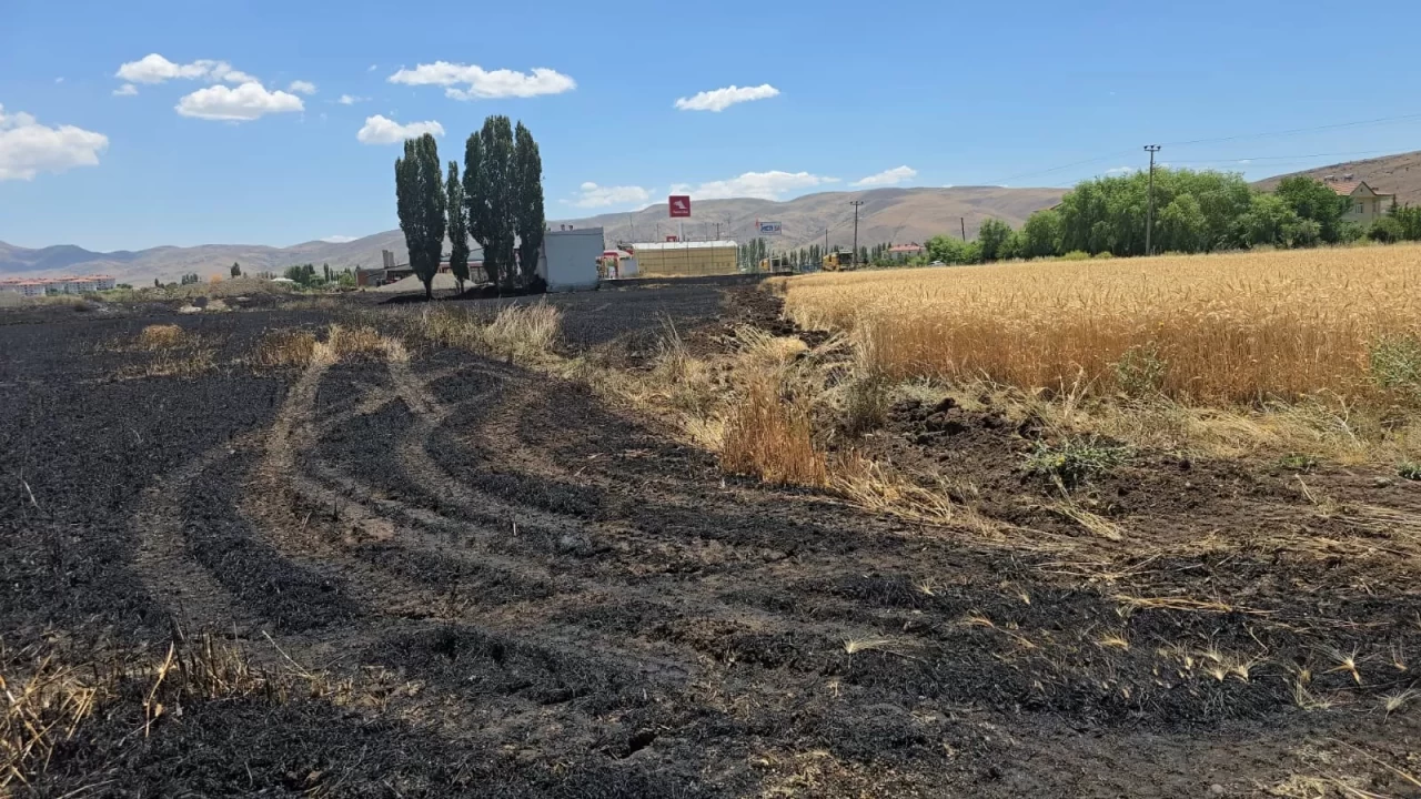 Elazığ’da 23 dönüm buğday, yanarak kül oldu