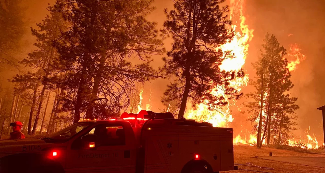 ABD'de orman yangını: 52 bin dönümden fazla alan kül oldu