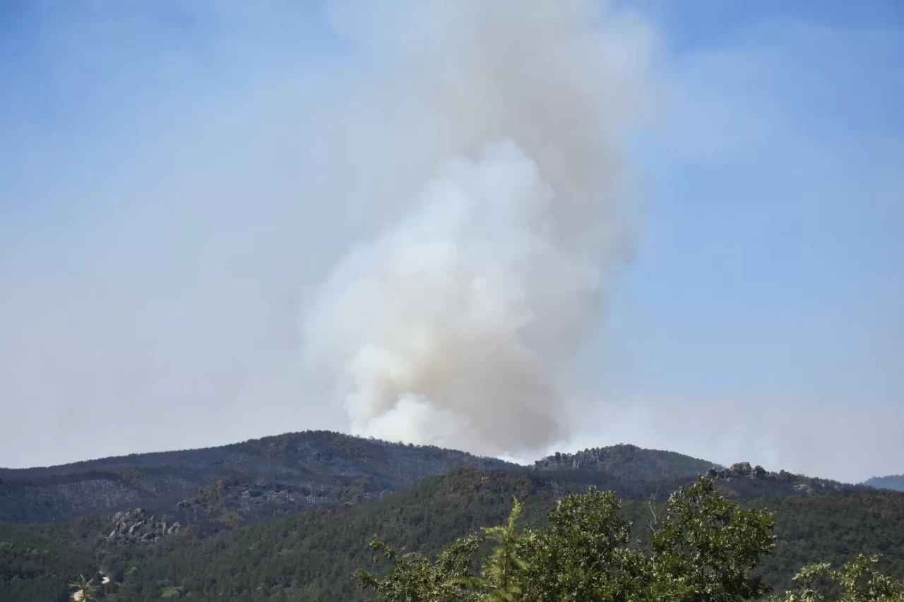 Eskişehir'de ormanlık alanda çıkan yangına müdahale ediliyor