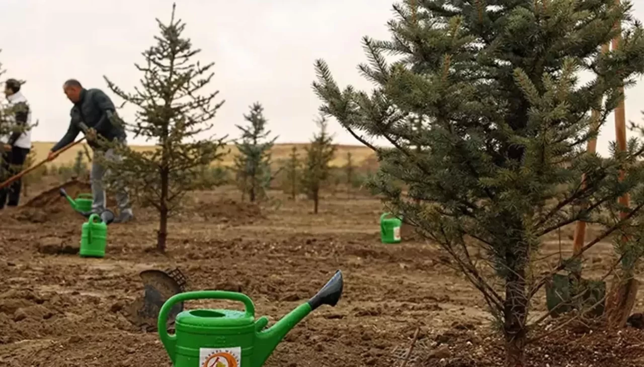 Bursa'da havai fişek atanlara ders gibi ceza