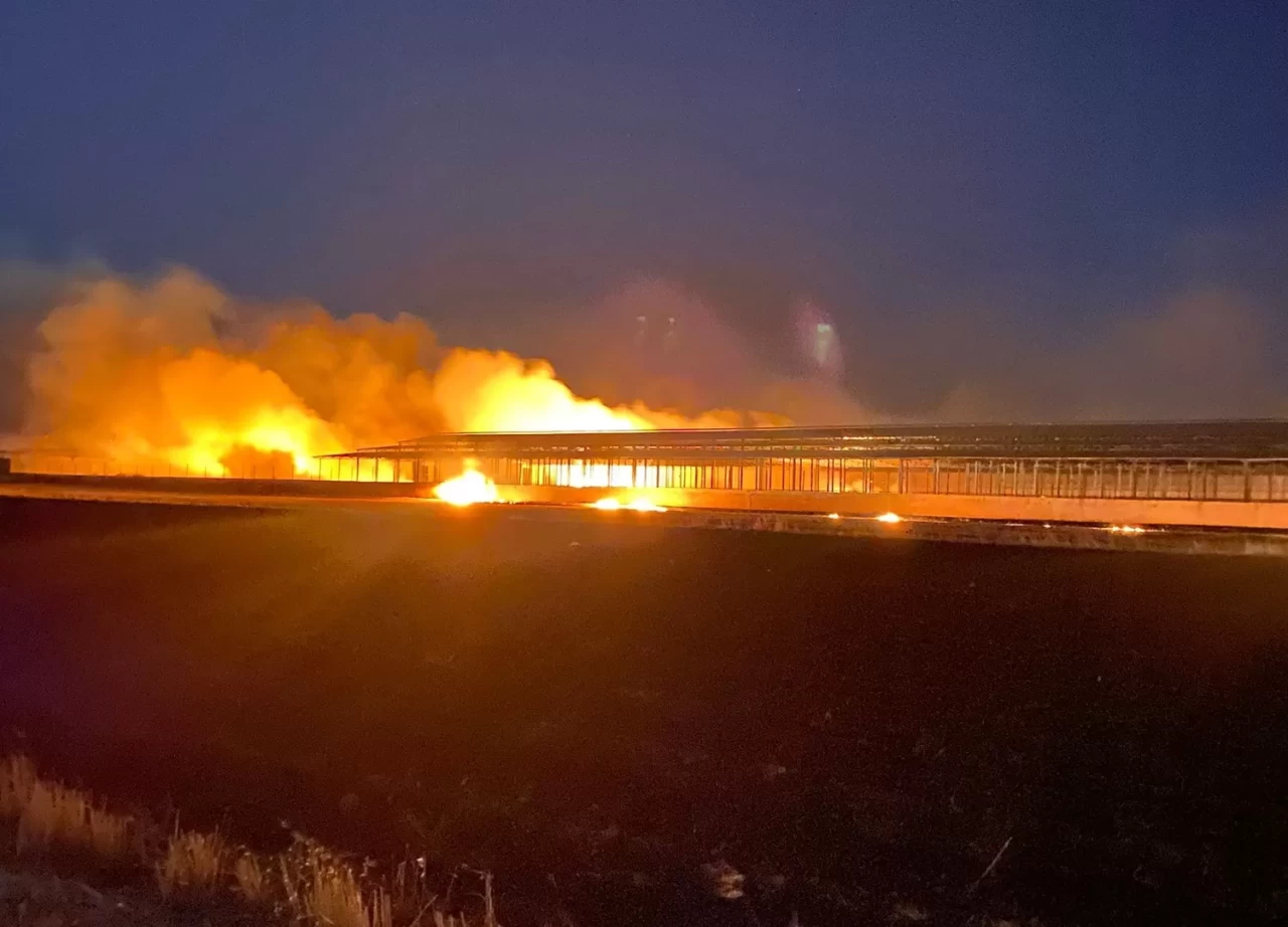 Diyarbakır'da tarım alanında çıkan yangın söndürüldü