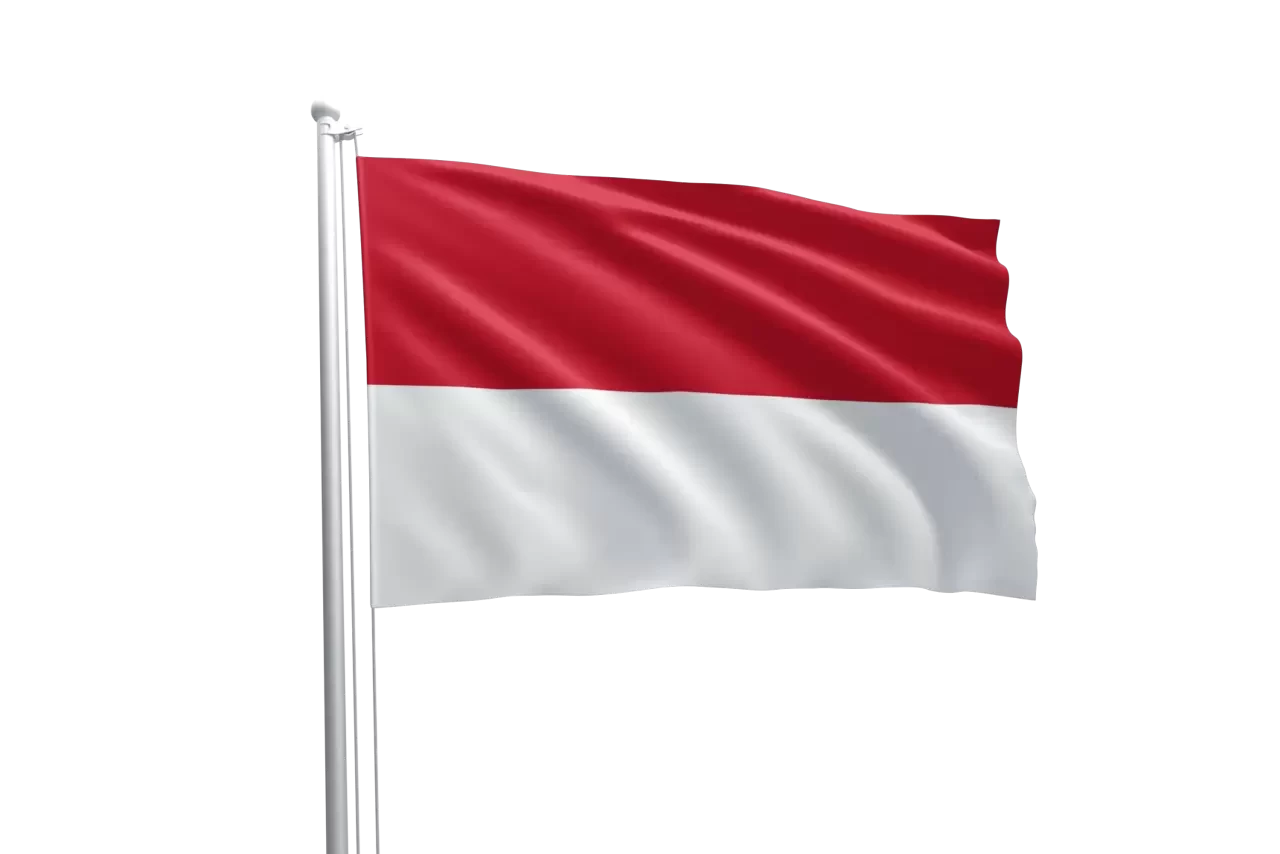 Monako bayrağı nedir? Monako bayrağının üzerinde hangi semboller ve renkler var, anlamı ne?