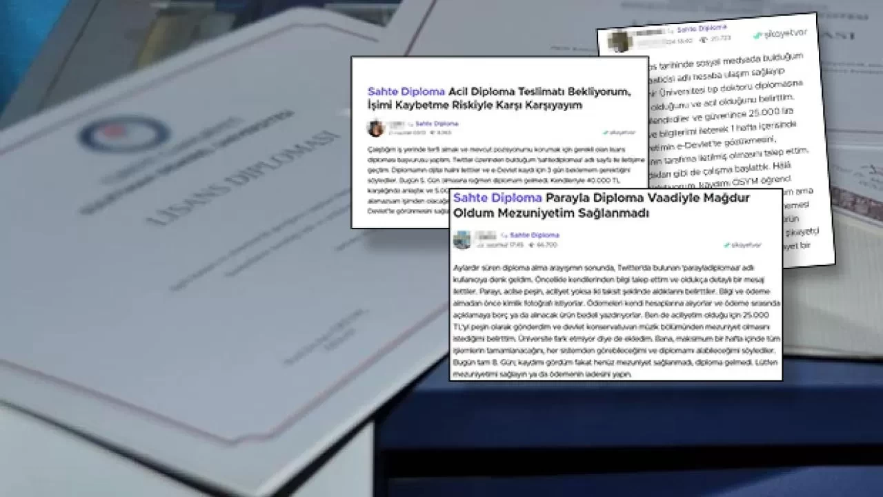 Hem sahtecilik, hem pişkinlik! Sahte diploma gelmeyince dolandırıldık diye şikâyet ettiler!
