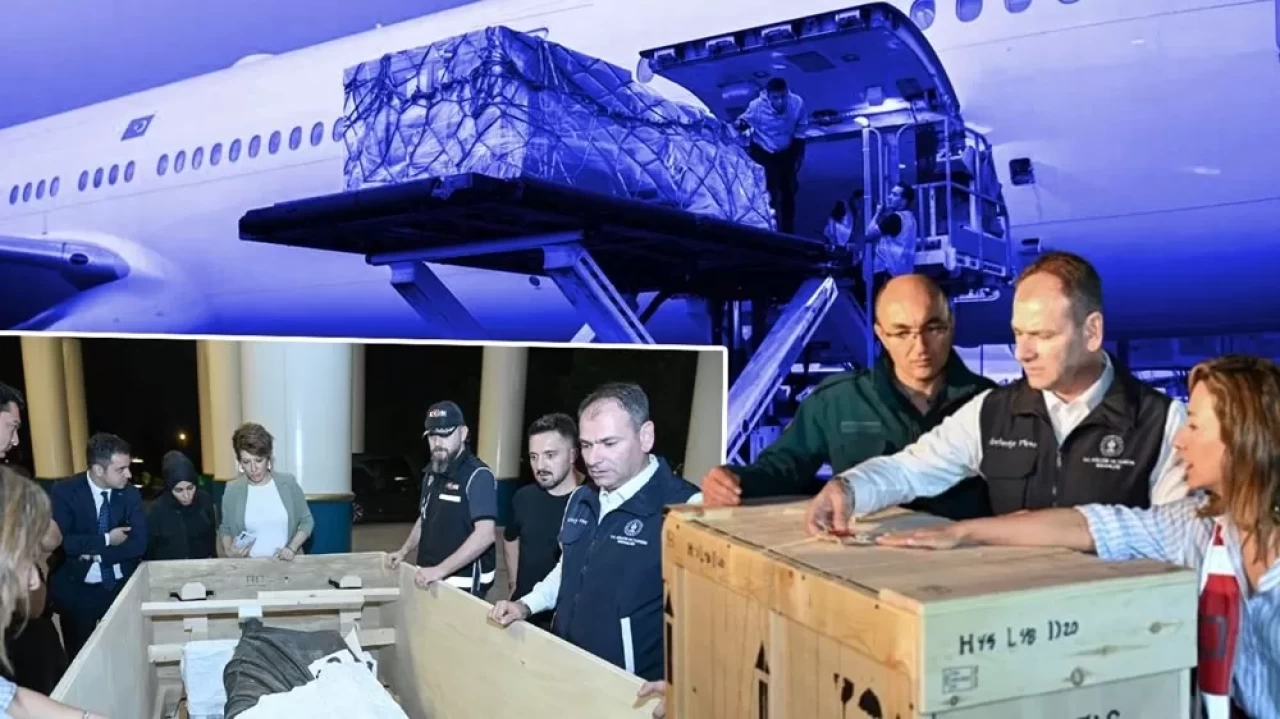 65 yıl sonra Türkiye'ye geri döndü: Filozof İmparator, ait olduğu topraklarda