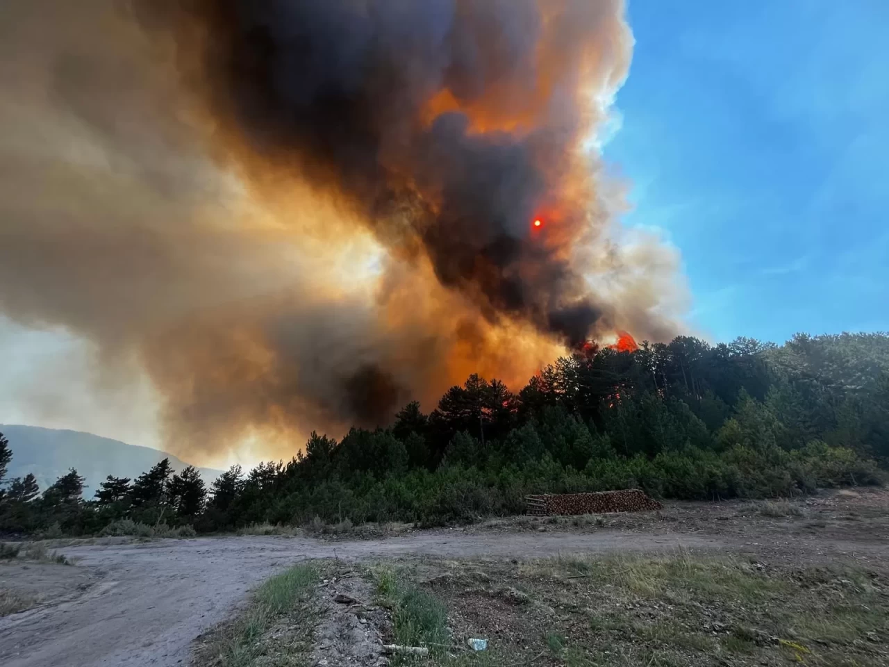 Balıkesir Sındırgı'da orman yangını paniği! Kontrol altına alınmaya çalışılıyor
