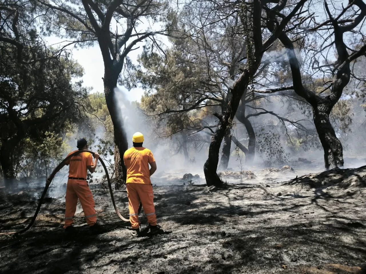 Antalya'nın Muratpaşa ilçesinde orman yangını çıktı