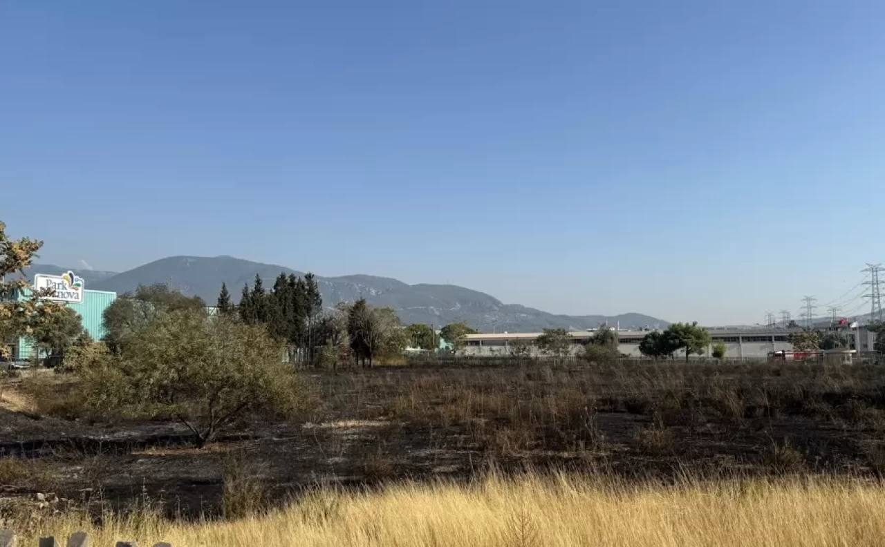 İzmir'de otluk alanda çıkan yangın kontrol altına alındı