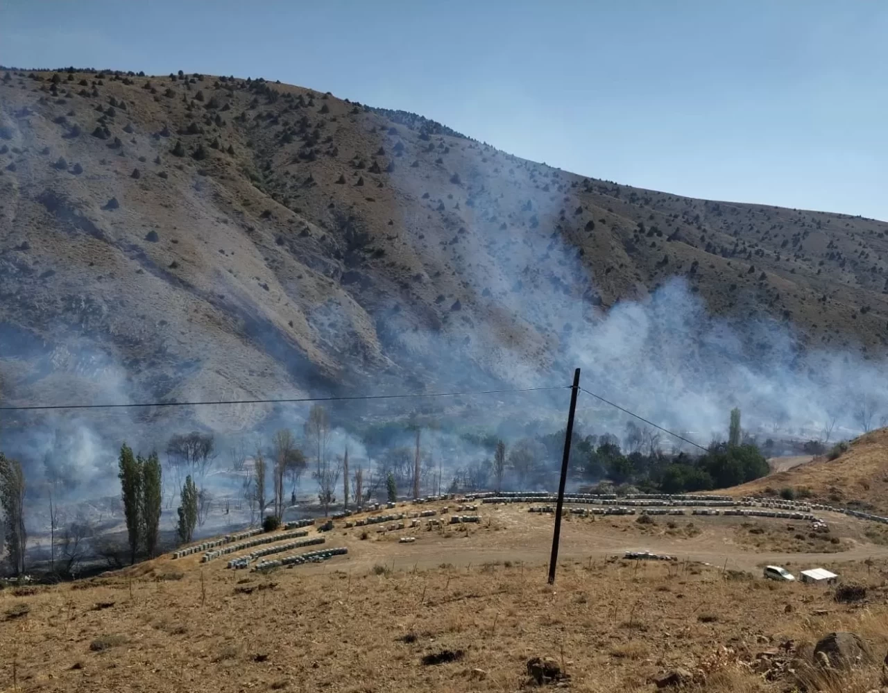 Niğde'de ağaçlık alanda çıkan yangın kontrol altına alındı