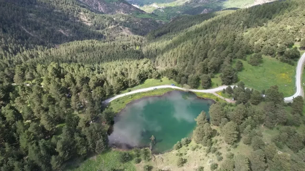 Gümüşhane'de ormanlık alanlara girişler yasaklandı