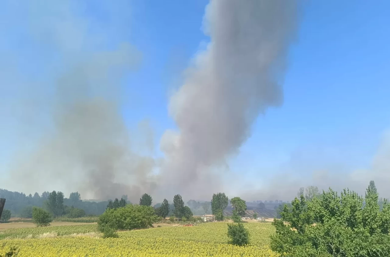 Edirne'de orman yangınına havadan ve karadan müdahale sürüyor
