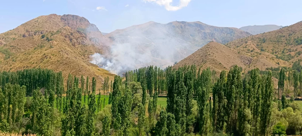 Erzurum'da çıkan örtü yangını söndürüldü
