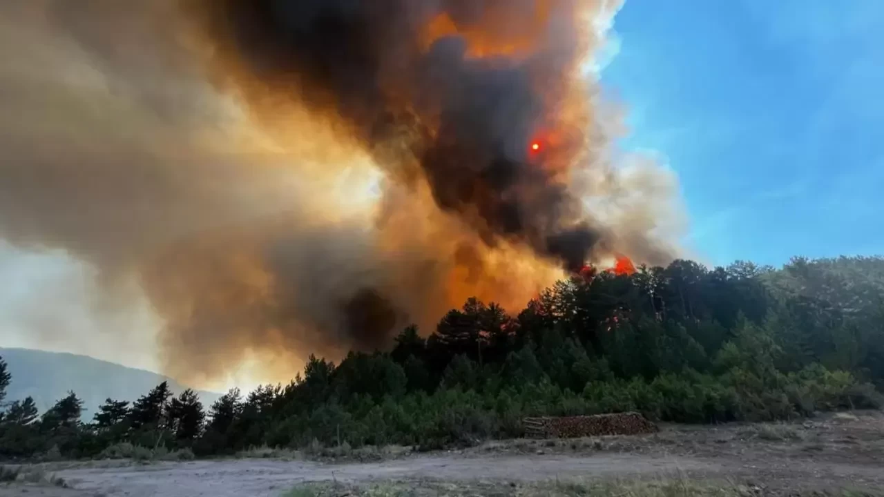 3 ilde orman yangını: Ekiplerin müdahalesi sürüyor