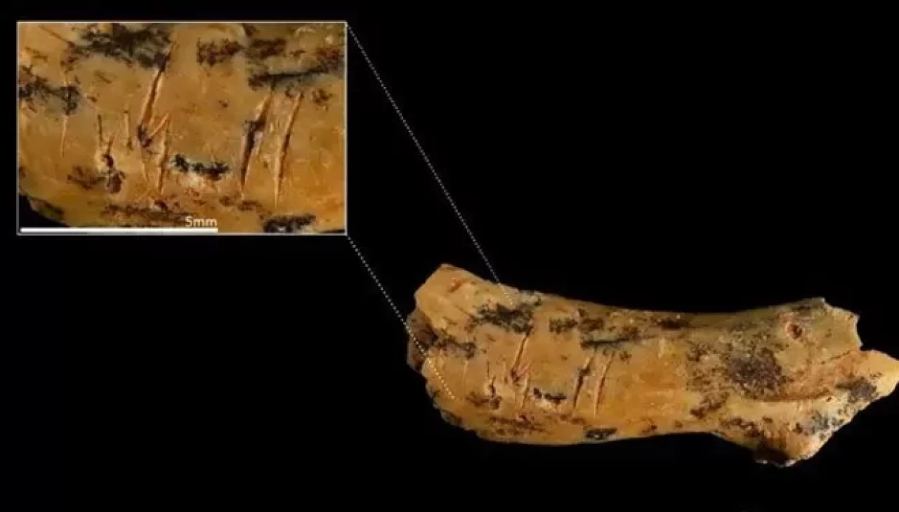 850 bin yıllık yamyamlık! Çocuk kemiğiyle ortaya çıktı