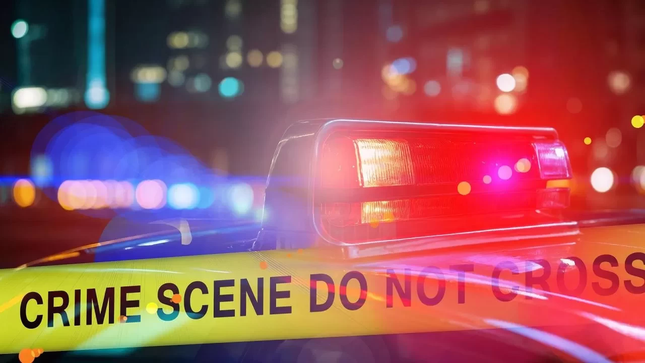 Los Angeles'ta araç kalabalığa daldı: 20'den fazla kişi yaralandı