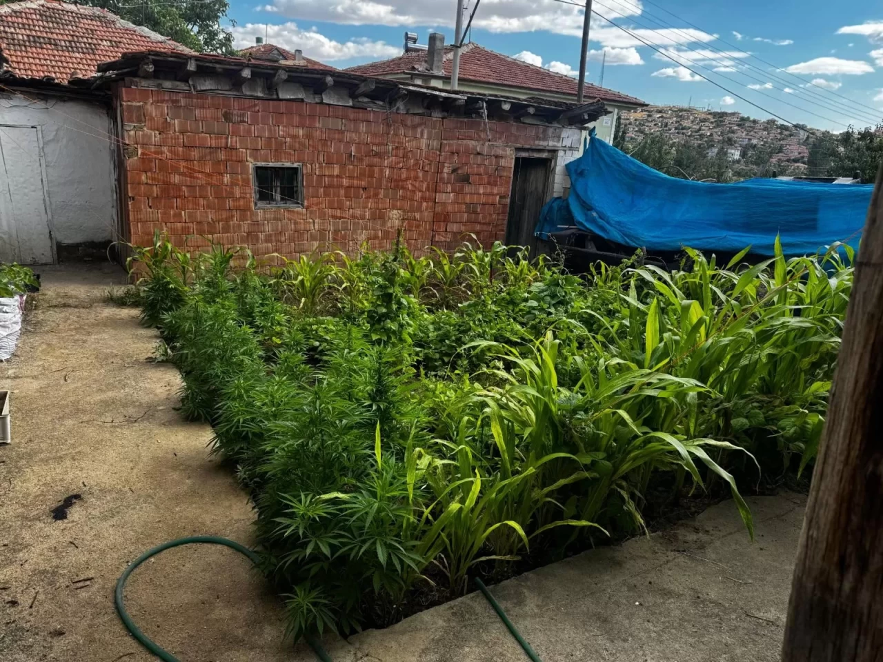 Kırıkkale’de uyuşturucuya darbe: 5 şüpheli jandarma tarafından alındı