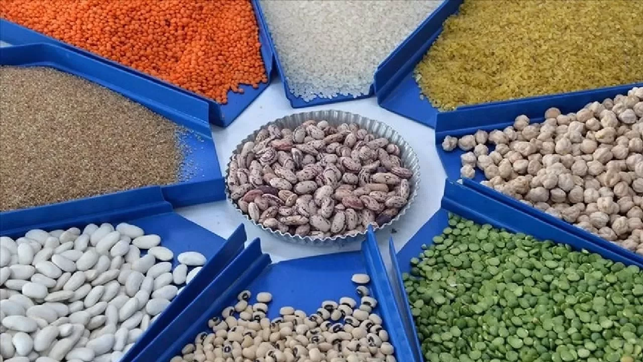 Güneydoğu'nun Afrika ülkelerine hububat ihracatı yüzde 32,9 arttı