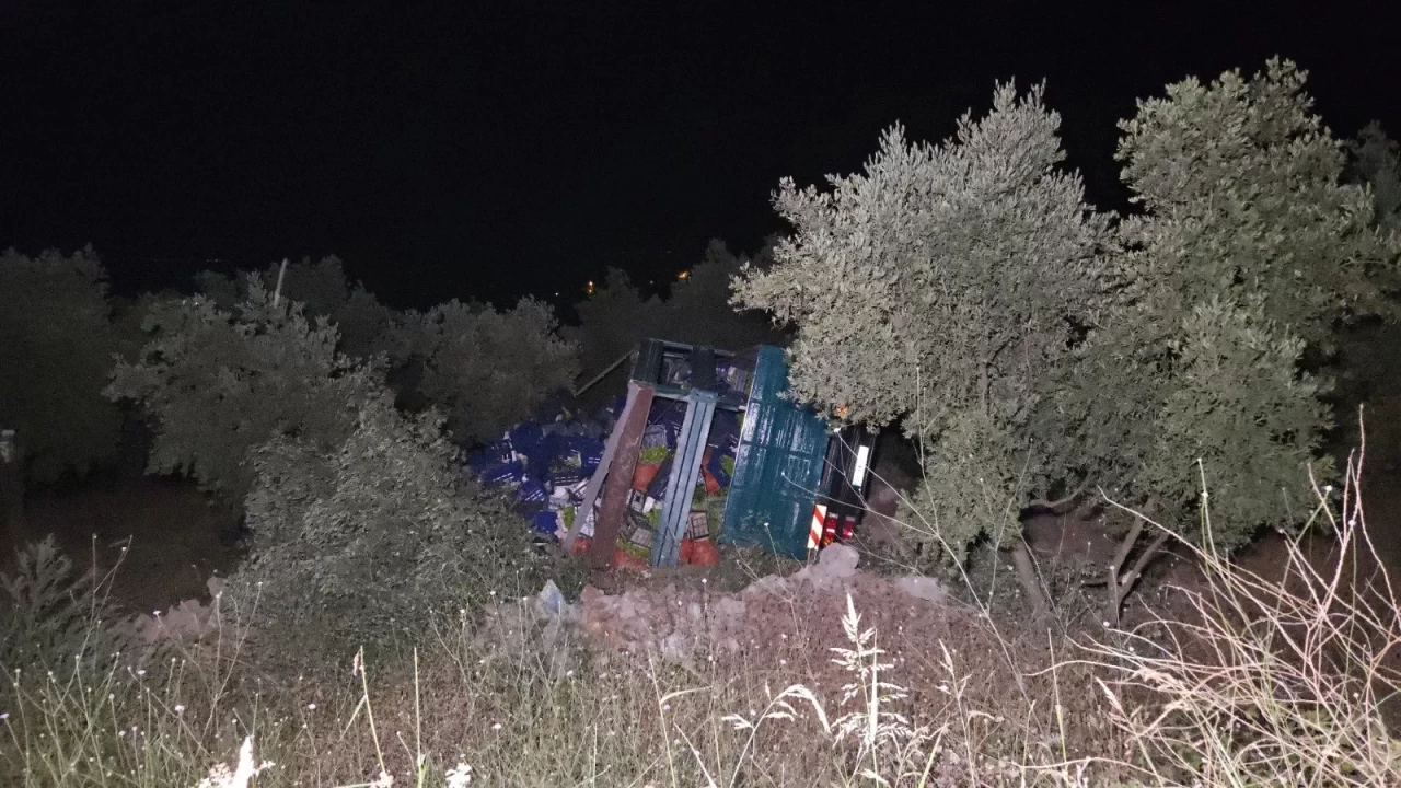 Biber yüklü kamyon zeytinliğe uçtu: 1 yaralı