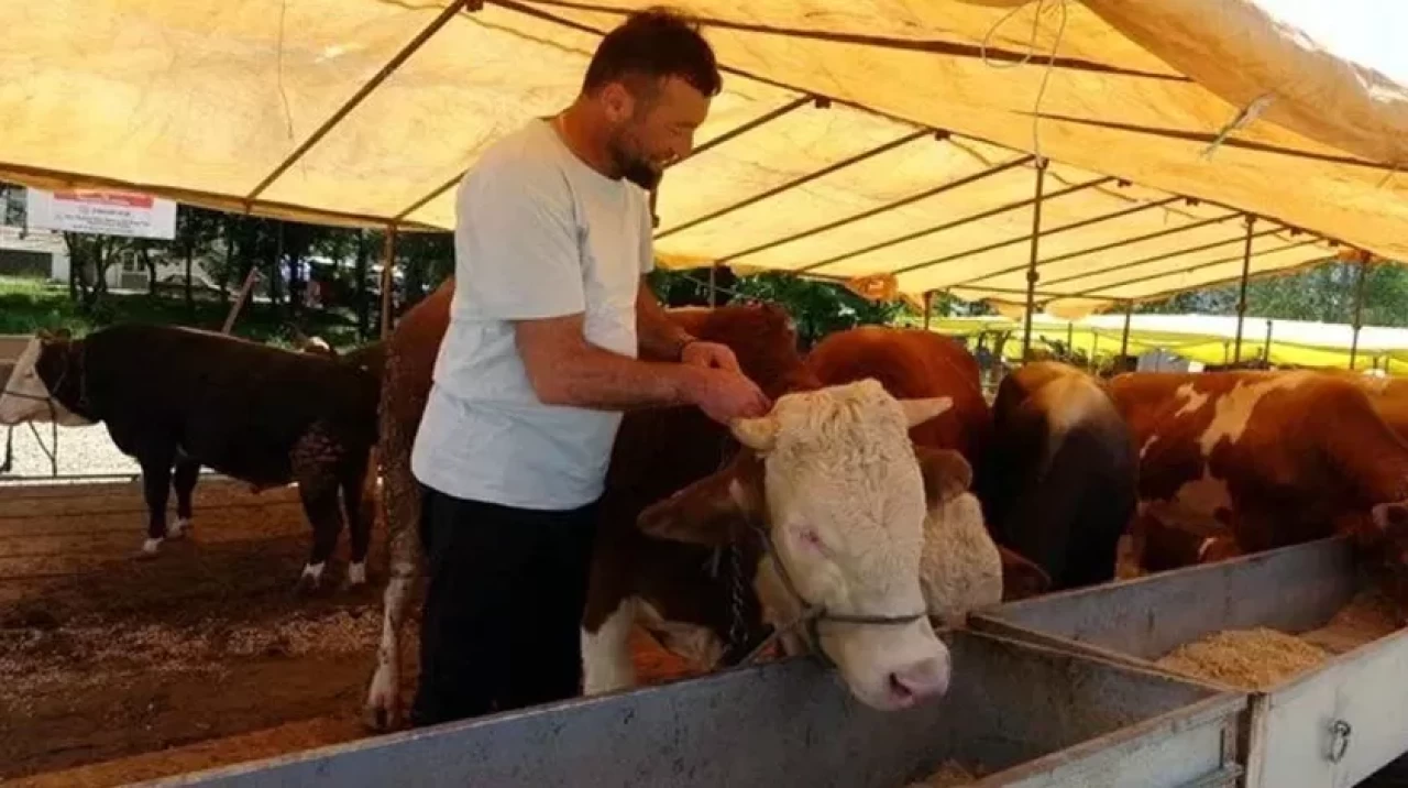 81 ile acil kodlu yazı: Tüm hayvan pazarları kapatıldı