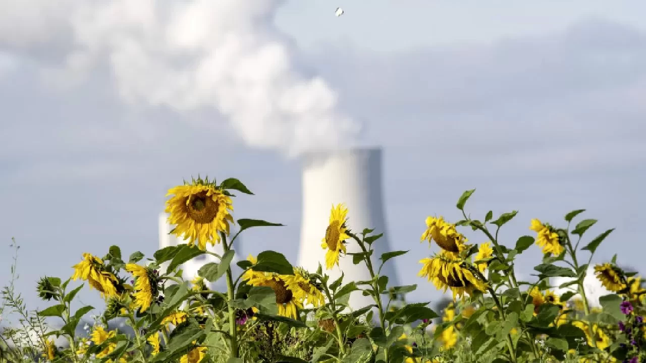 İklim Kanunu ile karbonun doğru fiyatlandırılması, enerjide verimliliği artıracak