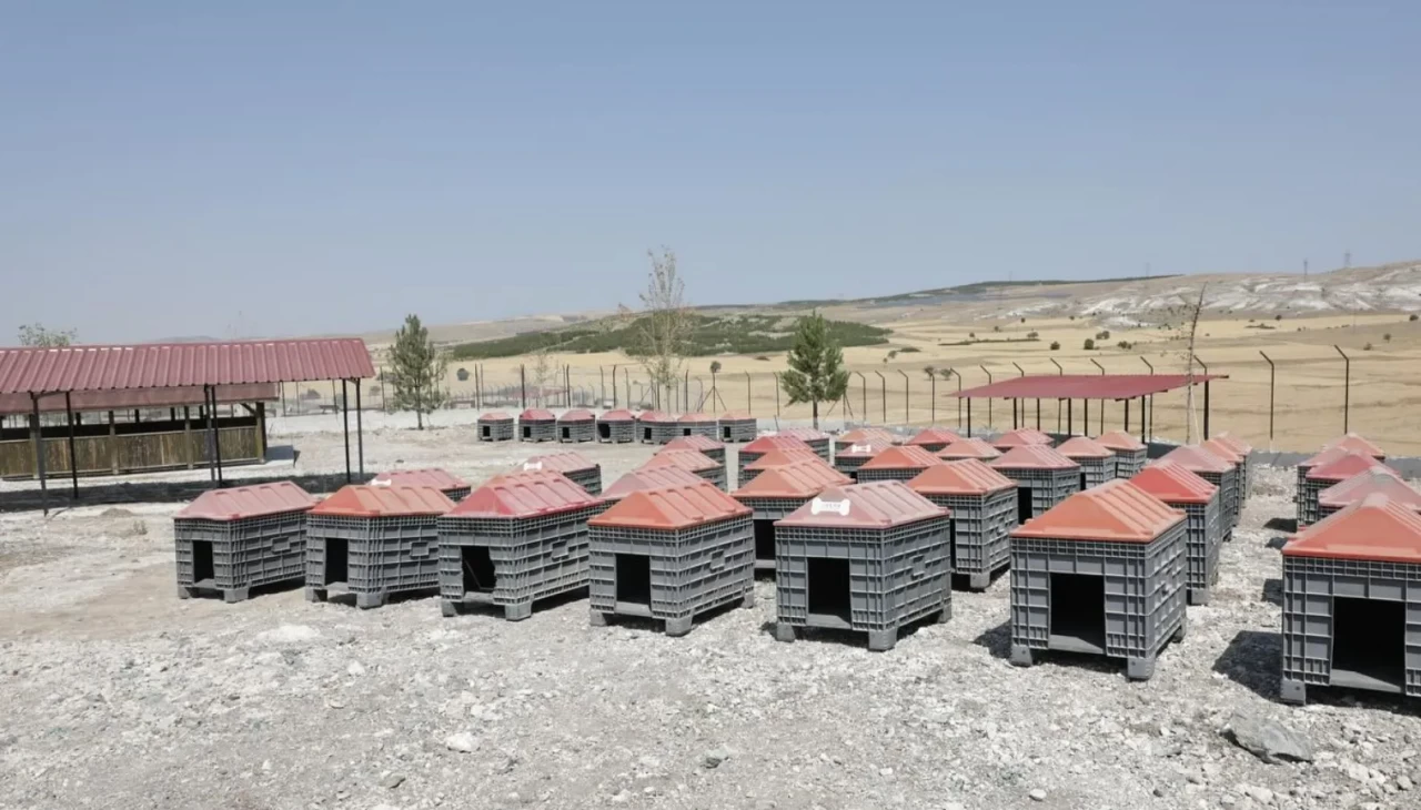 Kütahya’da sahipsiz hayvanlar için doğal yaşam alanı tamamlandı
