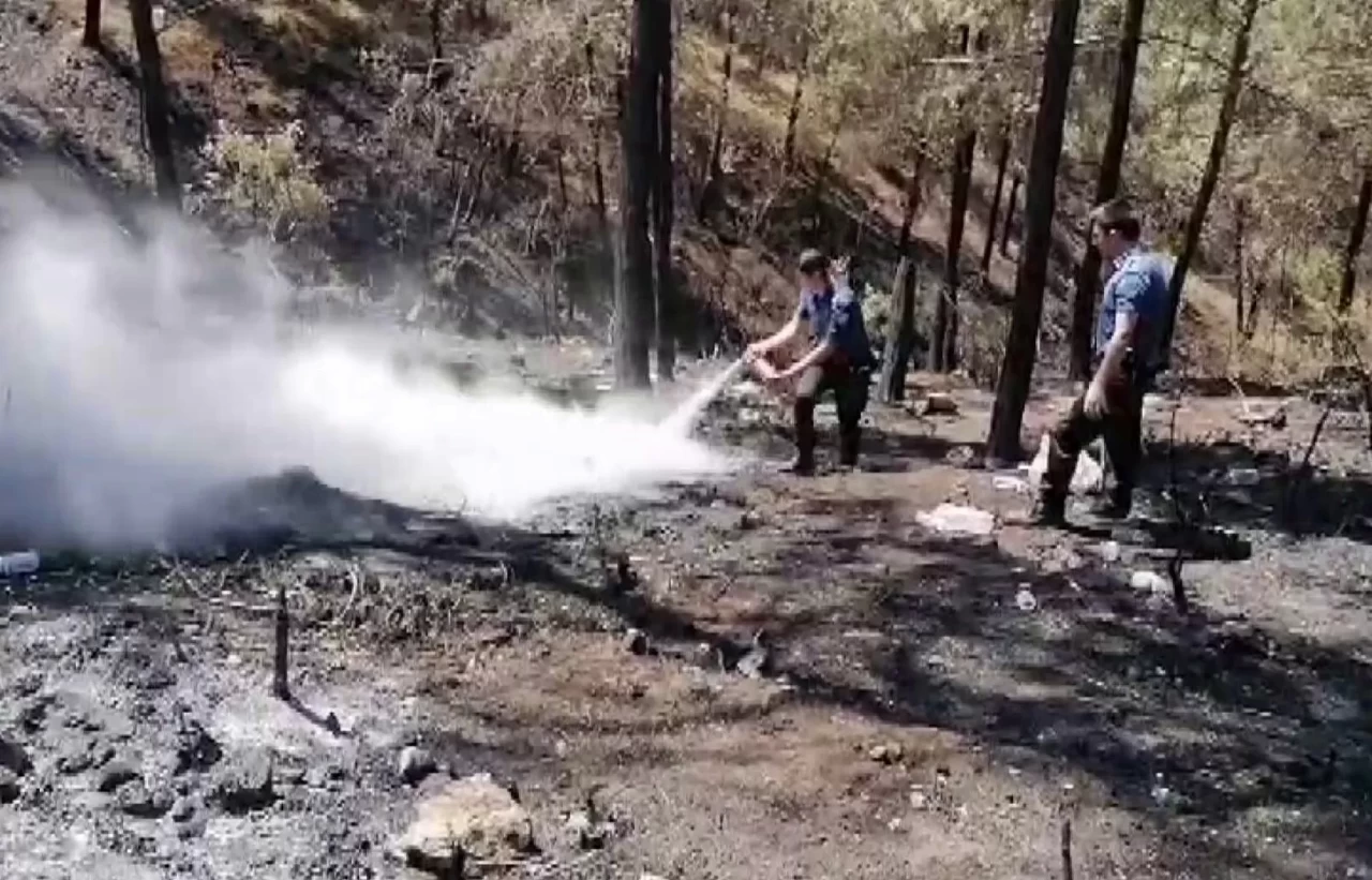 Geyve'de 5 gün sonra aynı nokta yeniden alevlendi: Yangına ilk müdahaleyi polisler yaptı