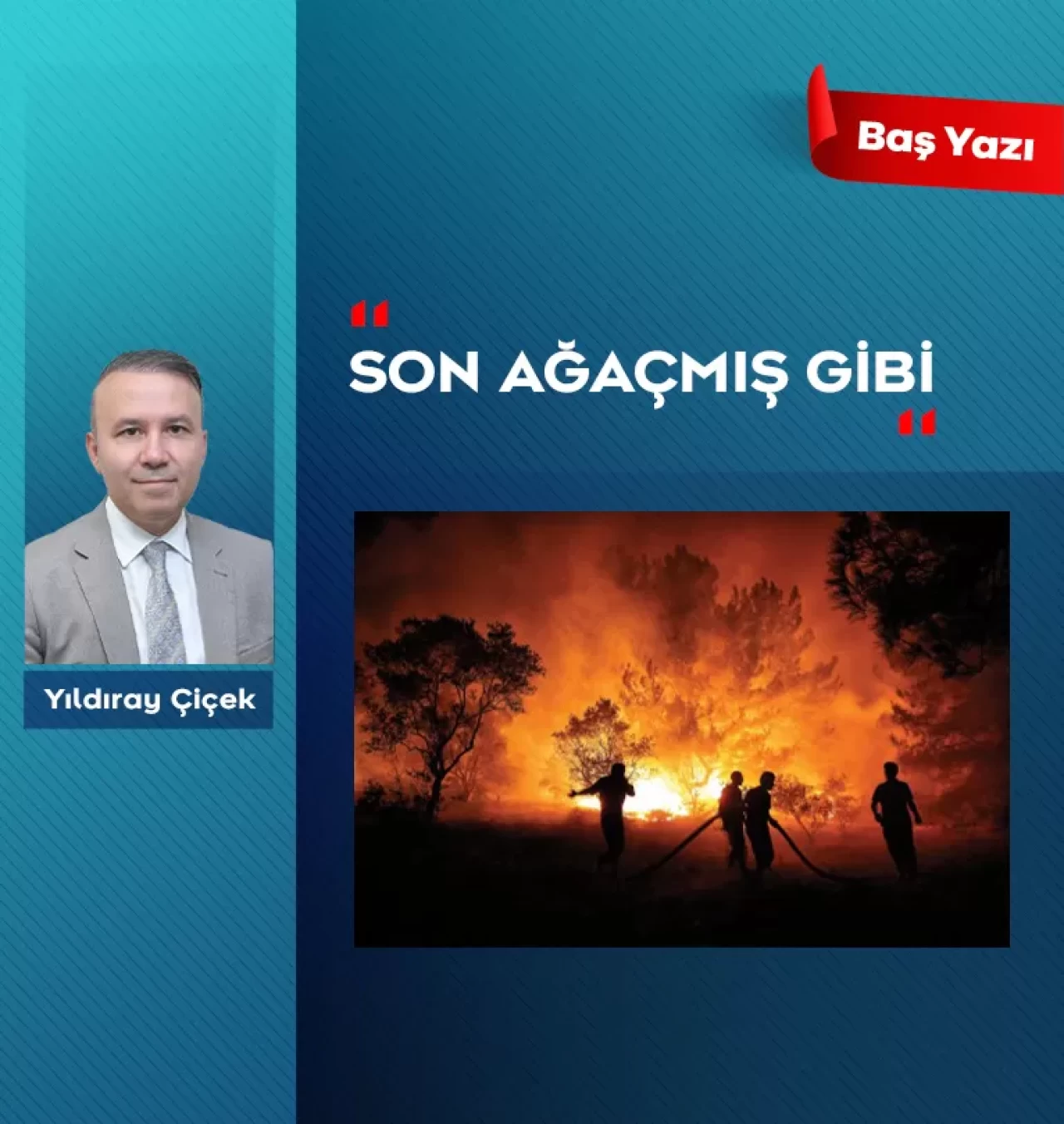 Son ağaçmış gibi…