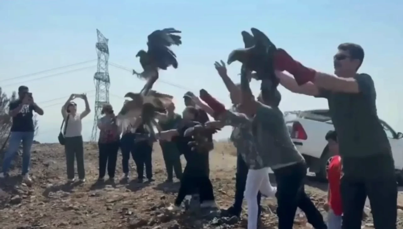 Tedavileri tamamlanan 11 yabani kuş doğaya salındı