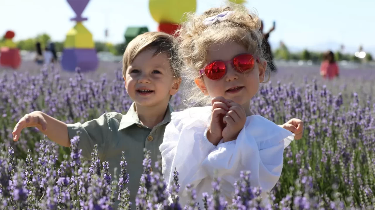 Türkiye’nin en büyük lavanta bahçesinde festival coşkusu