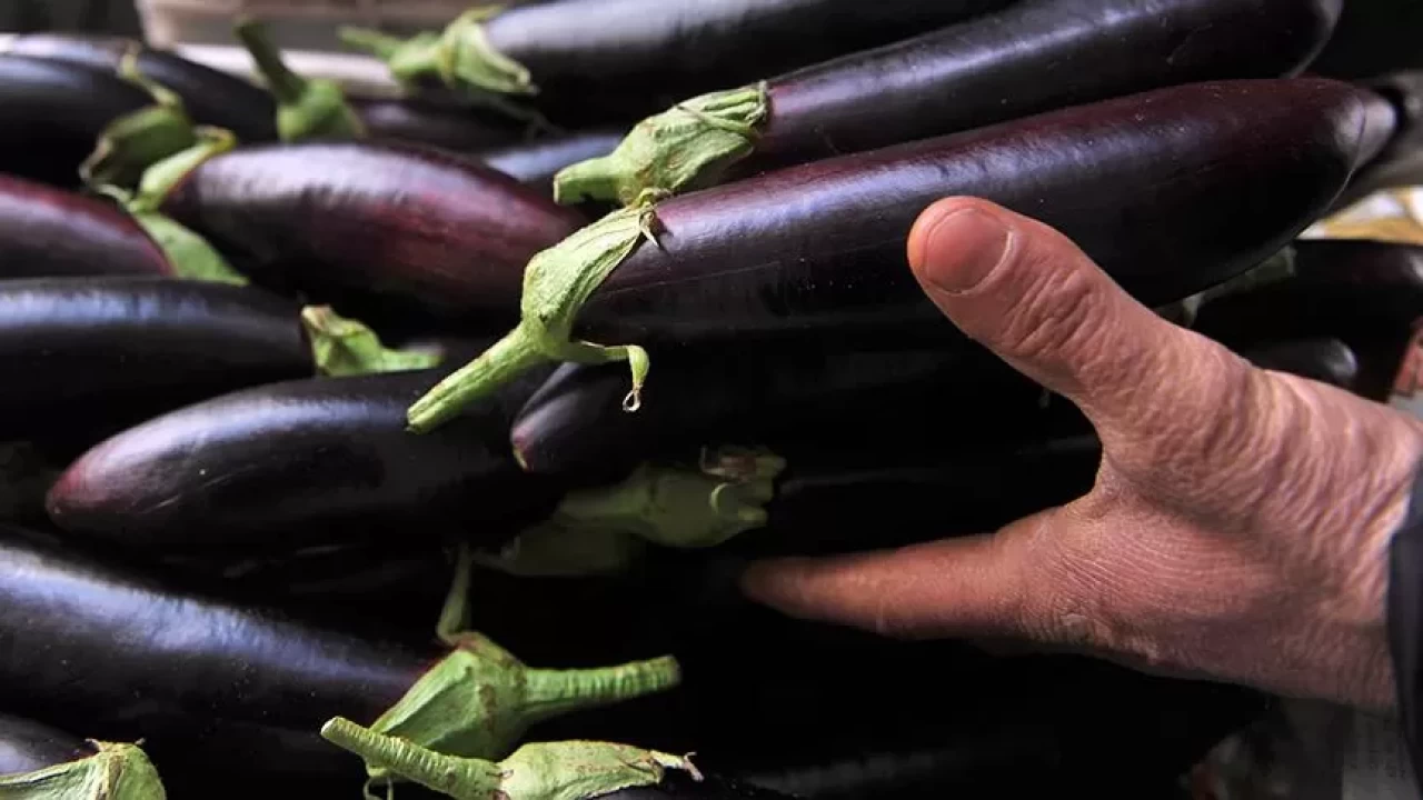 Patlıcanın sağlığa 8 muhteşem faydası